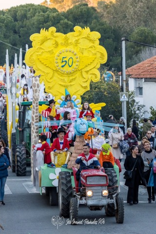 PiPo_453806rlr