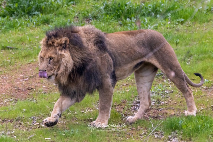 49766608782_c1e45ccc46_o