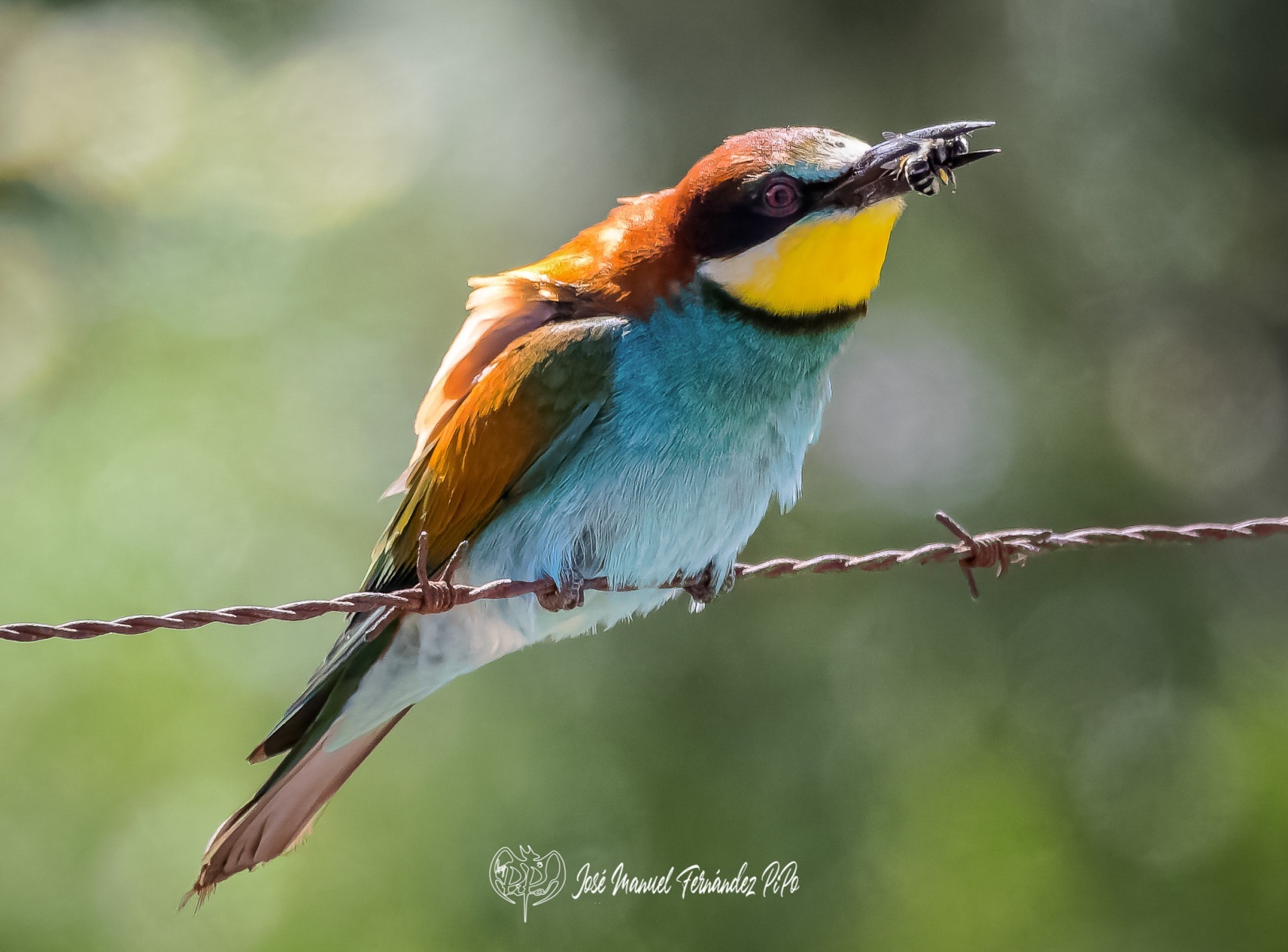 34A9549-CR3_DxO_DeepPRIMErlr