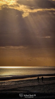 20251202_162021-E-E