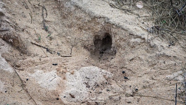 20251202_165205-E-E