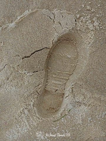 20250109_120448-E-Erl