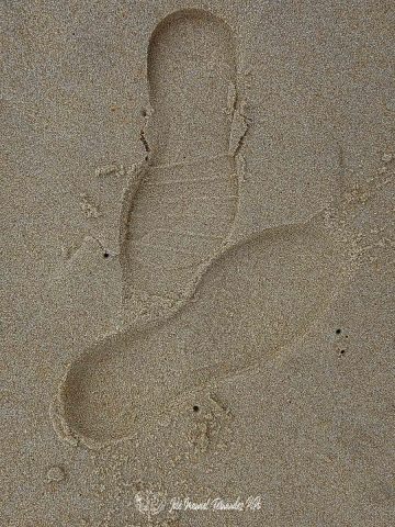 20250109_120618-E-Erl