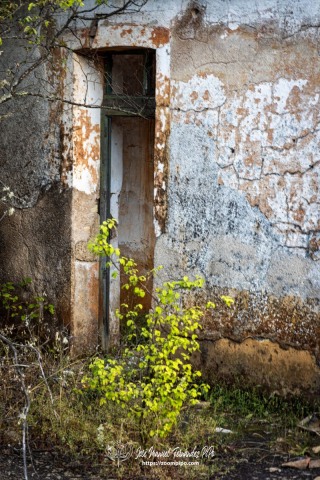 PiPo-0787868-E-E