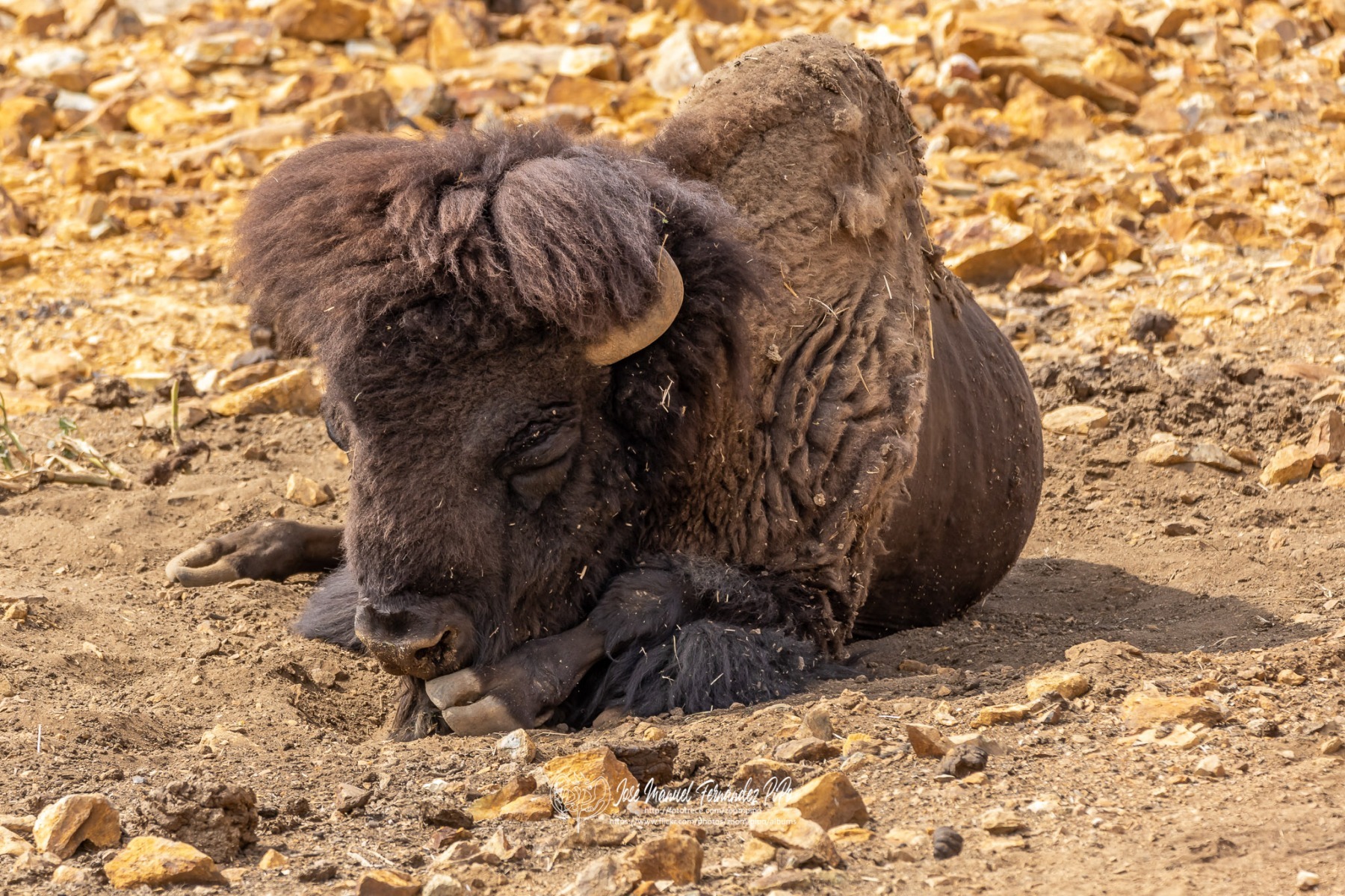 49755400268_cb77a3ce0f_o