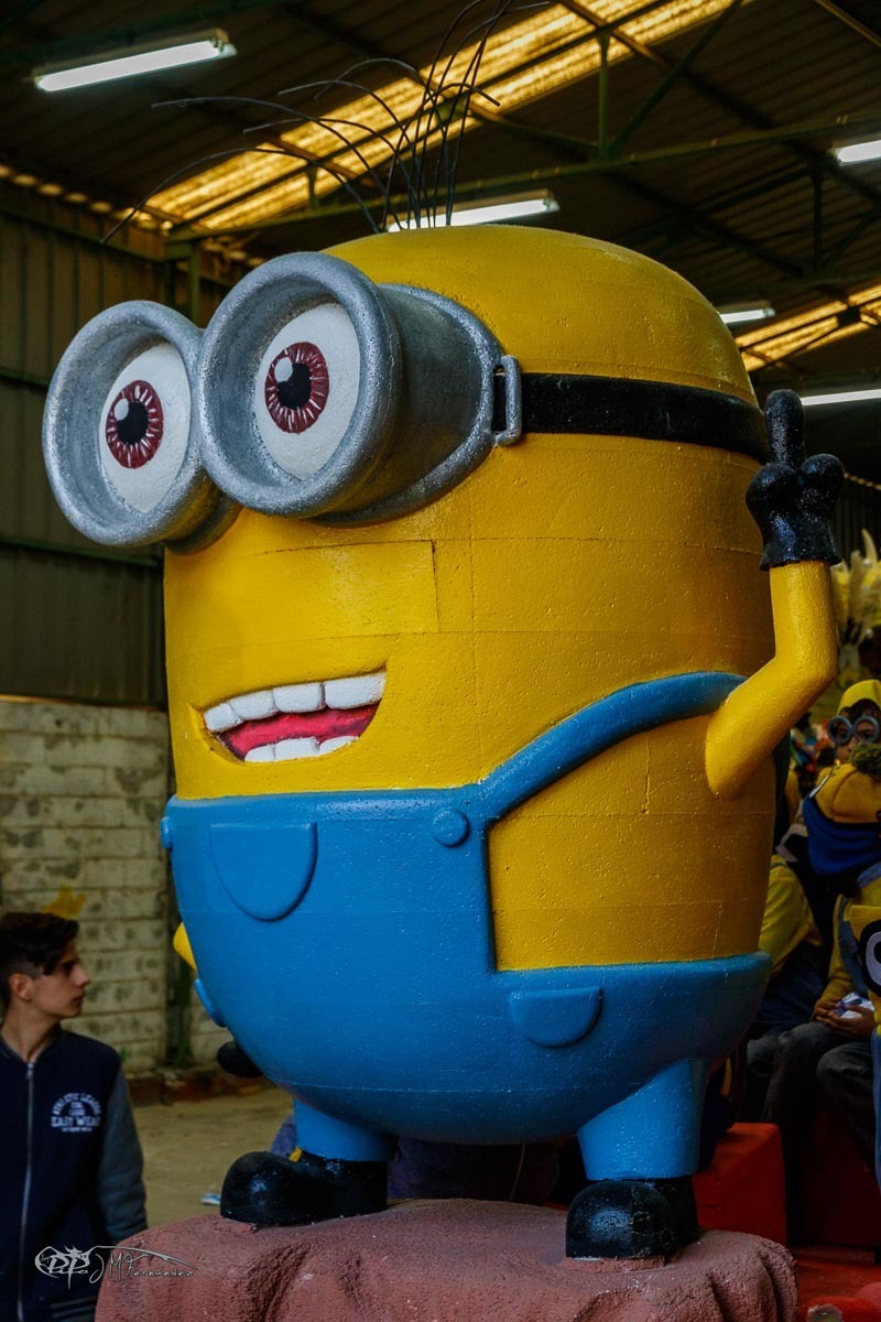 47226798431_24065e365d_o
