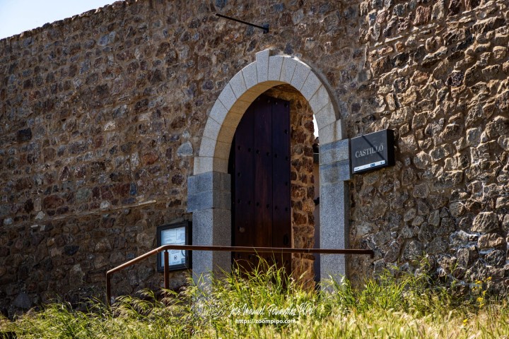 PiPo-0787475-E-E