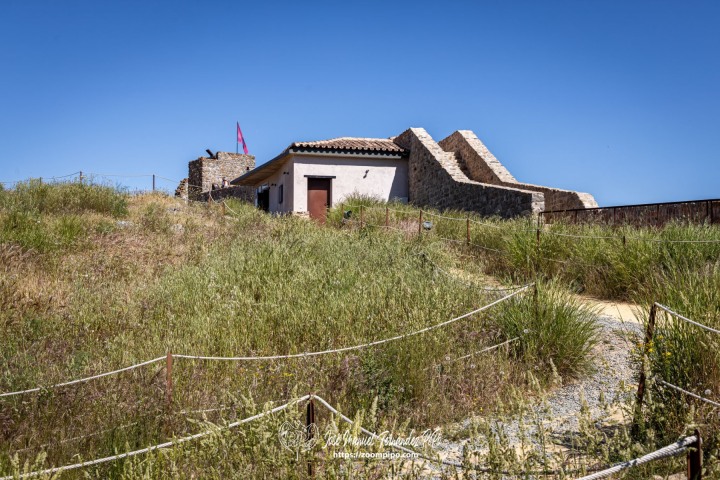 PiPo-0787523-E-E