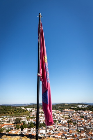 PiPo-0787553-E-E