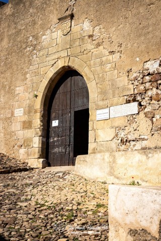 PiPo-0765384-E-E