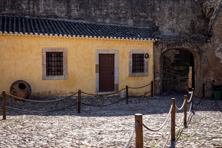 PiPo-0765391-E-E