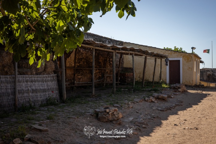PiPo-0765414-E-E