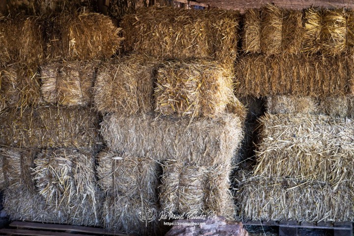 PiPo-0765417-E-E