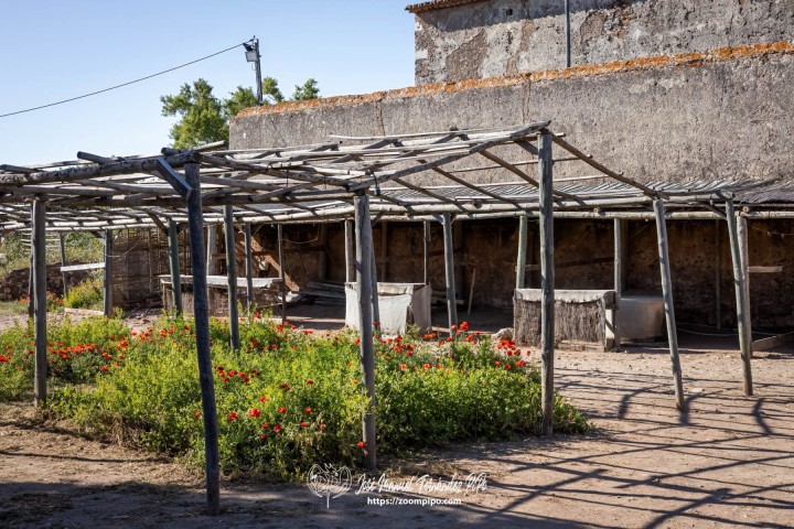 PiPo-0765423-E-E