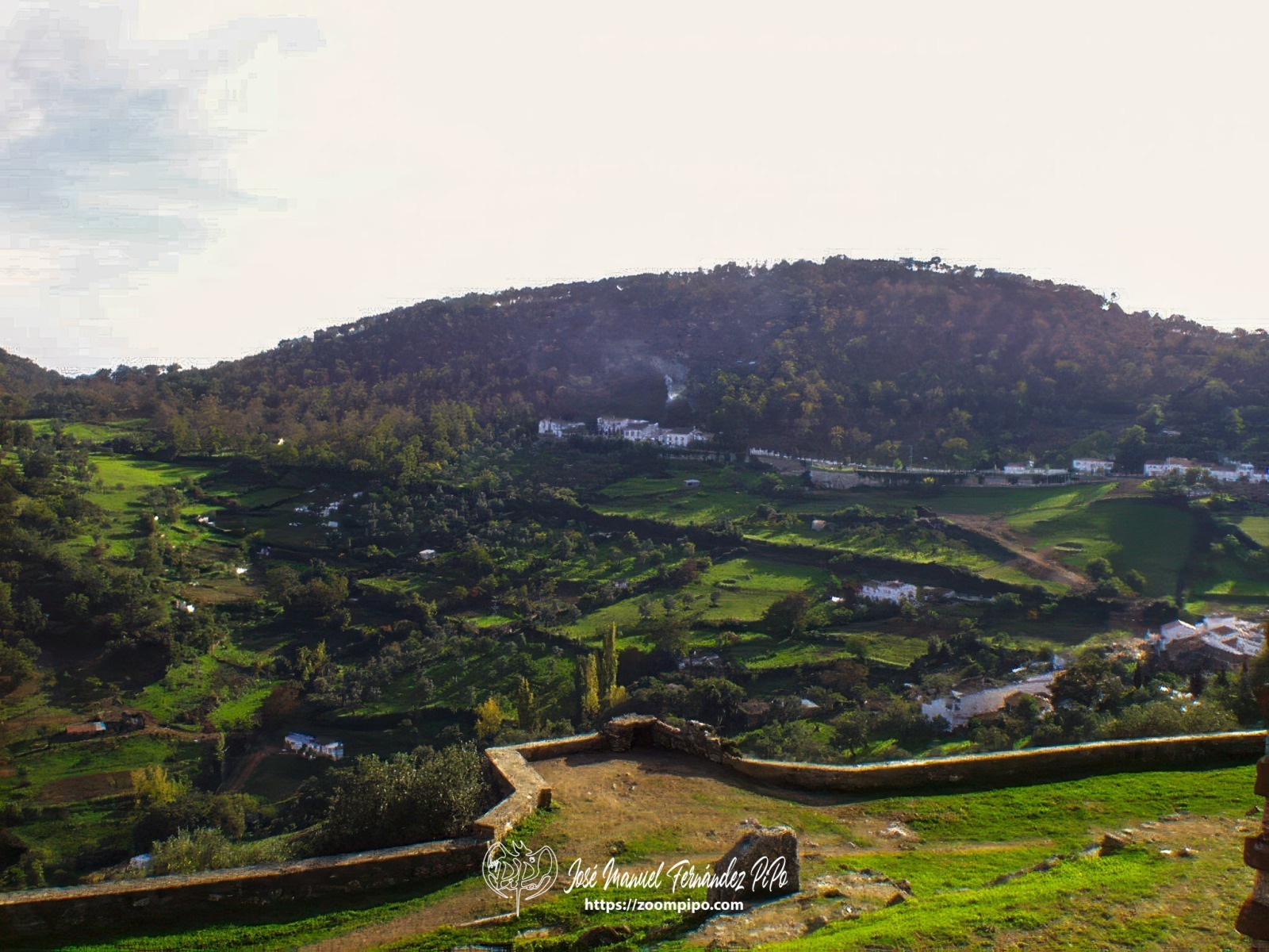 pic00013-E