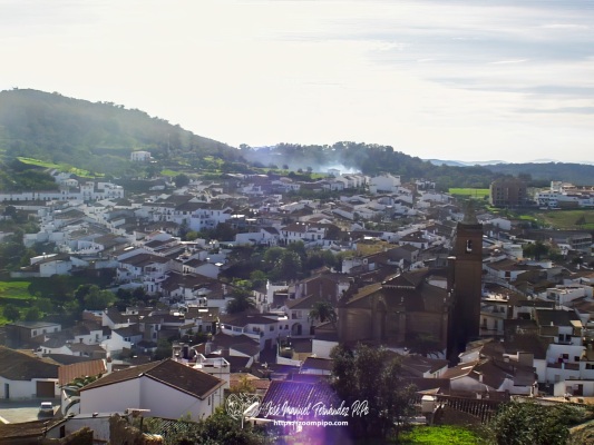 pic00018-E