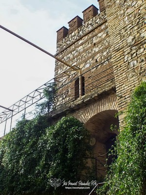 pic00029-E