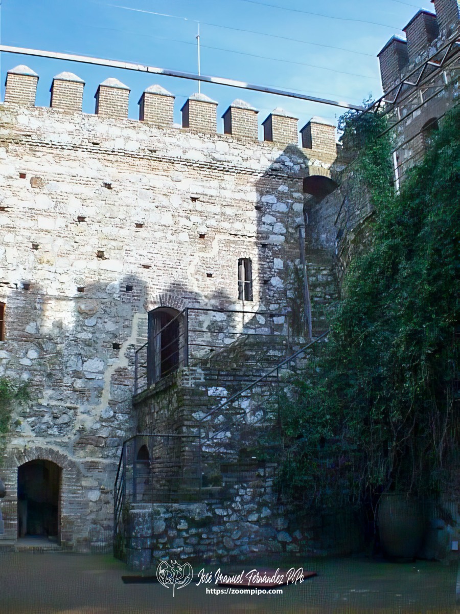 pic00041-E