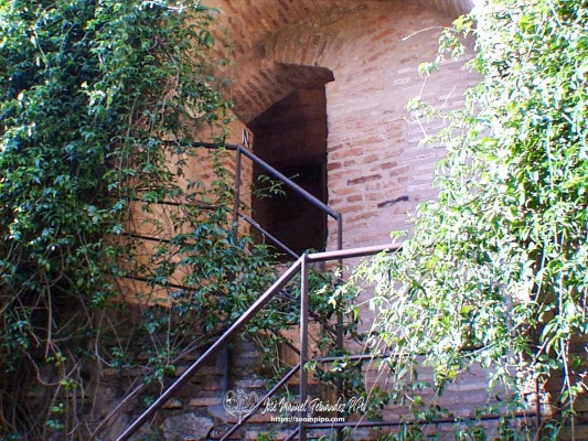 pic00042-E
