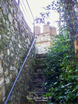 pic00043-E