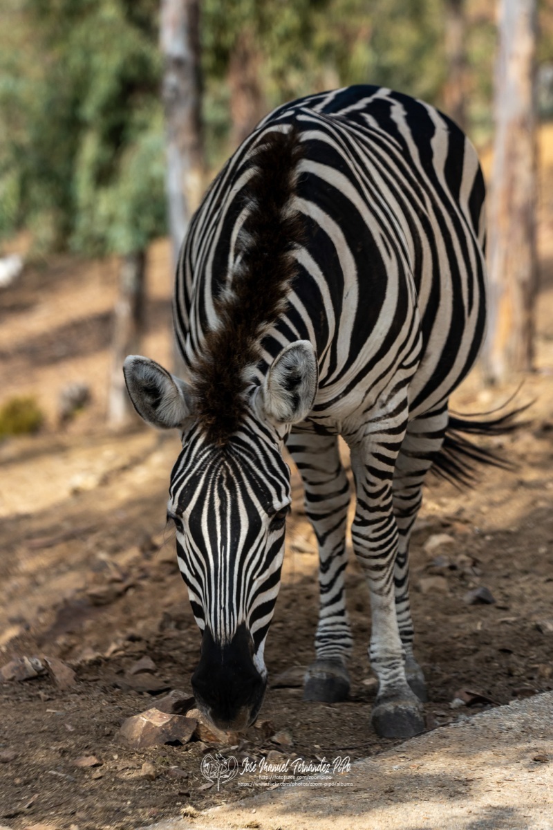 49326588502_bc5f55e110_o