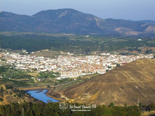 PIC00028-E