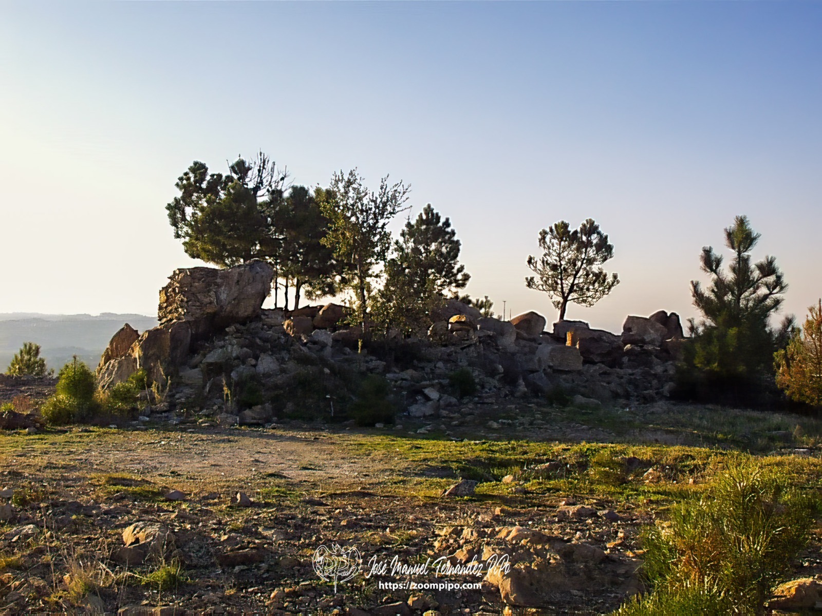 PIC00029-E