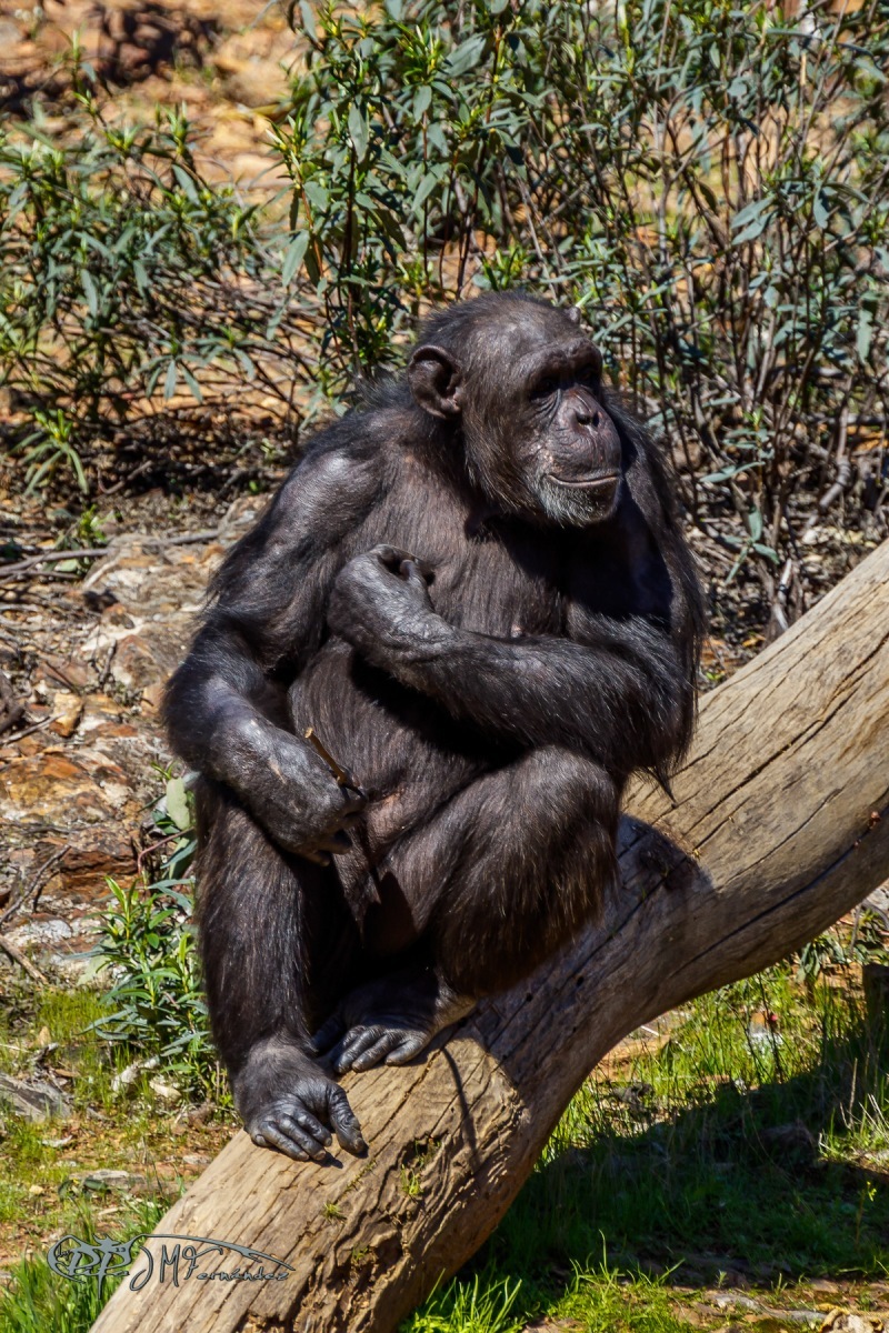 27101352878_1e6e136530_o