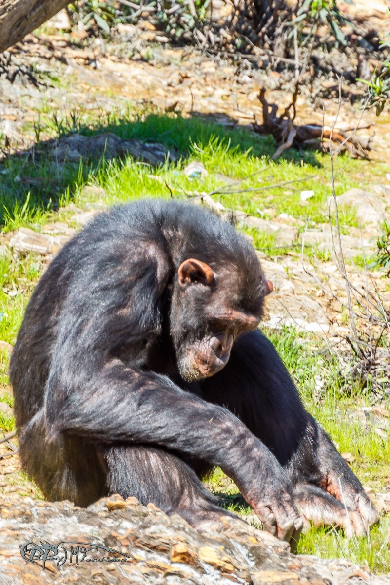 27101353028_41efb27f29_o