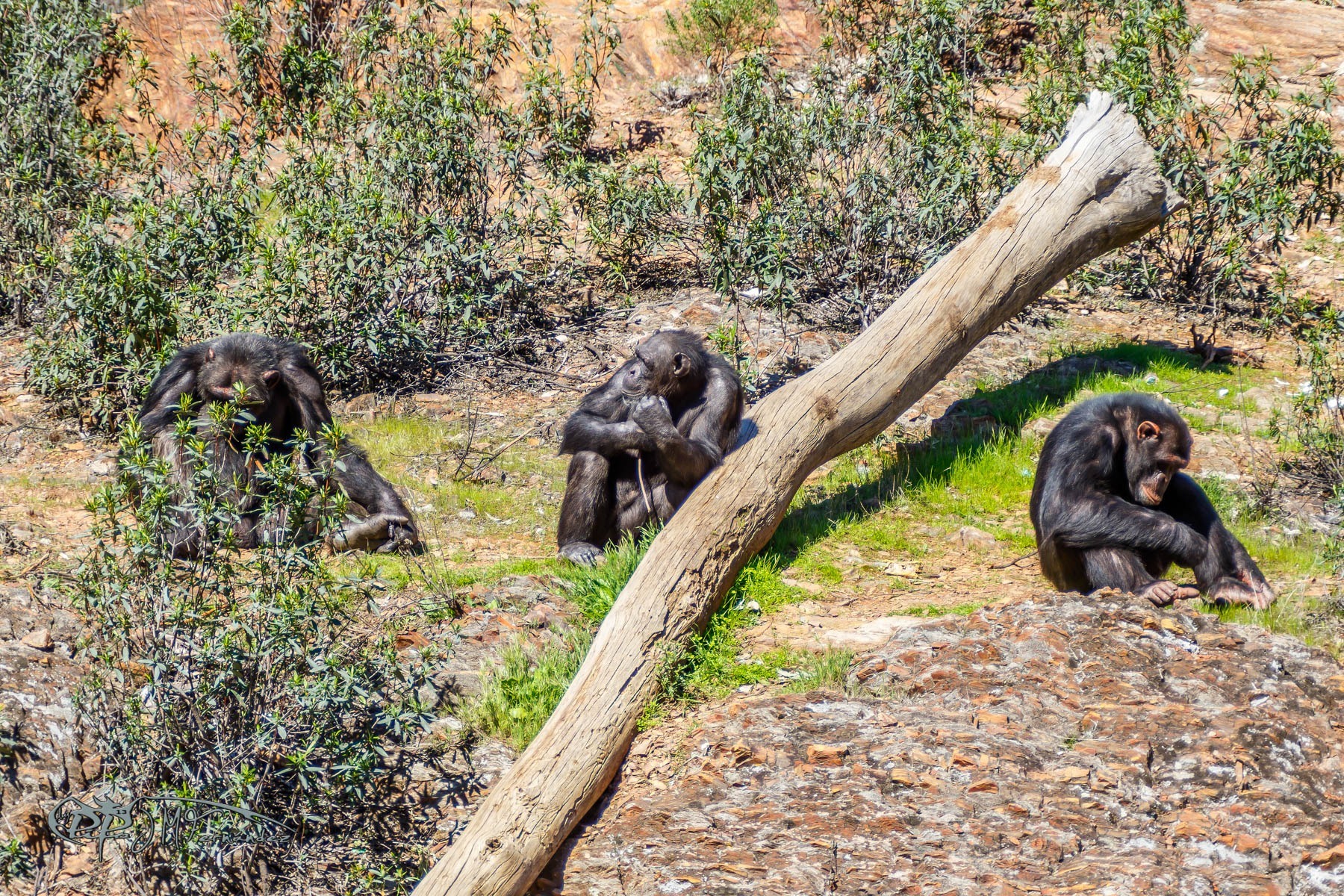 27101353238_ebebbb74dd_o