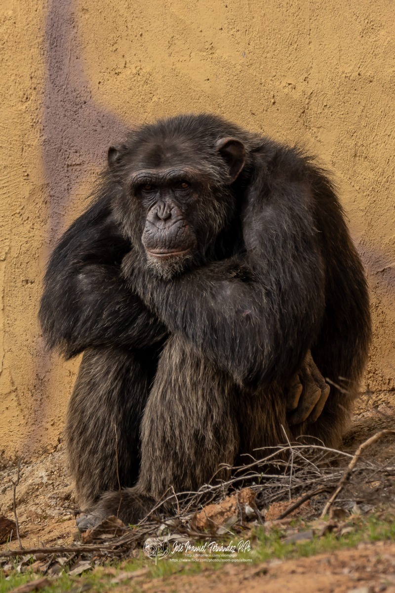 49583477976_b454d728dd_o