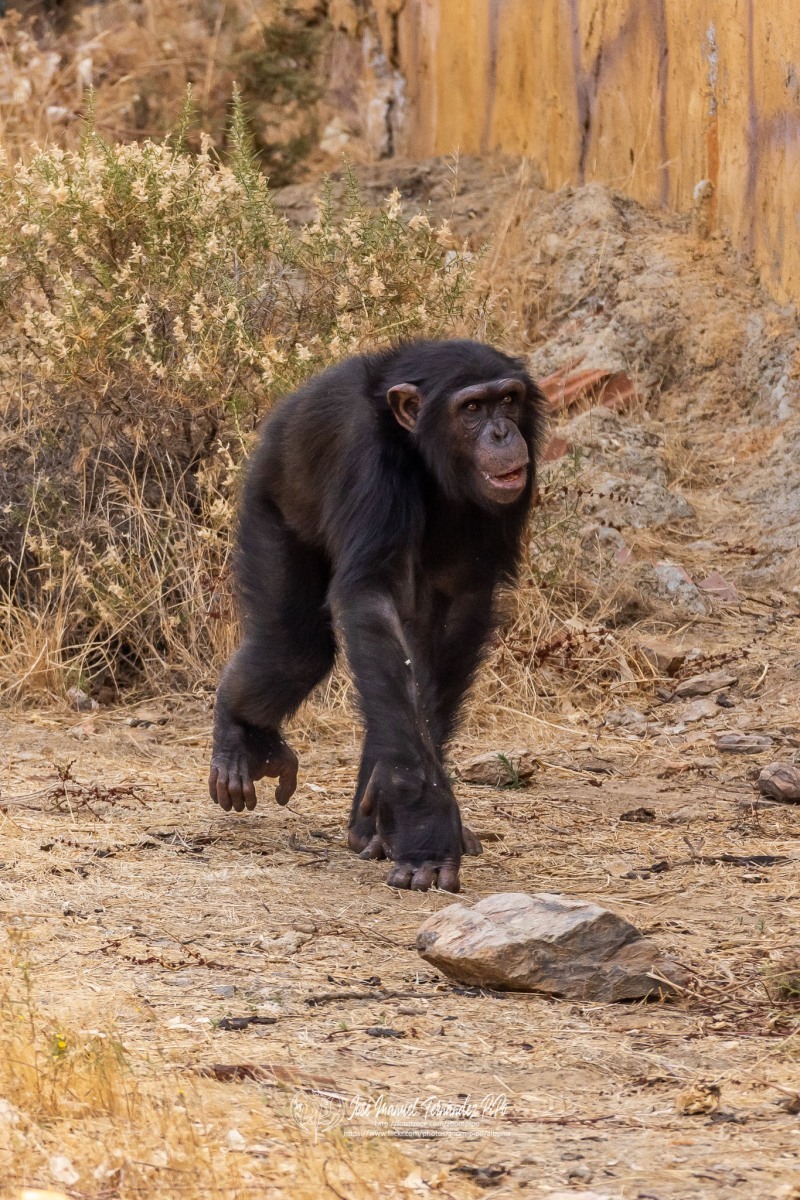 49756263642_24283e6048_o