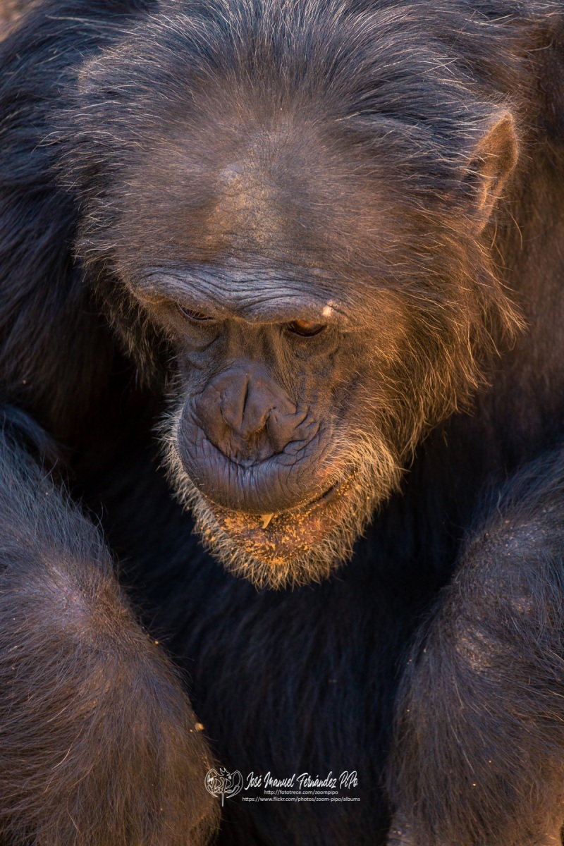 49791640708_9e7e4cfde0_o