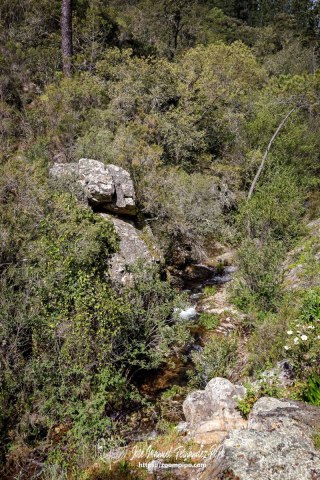 PiPo_764451-E-Erl