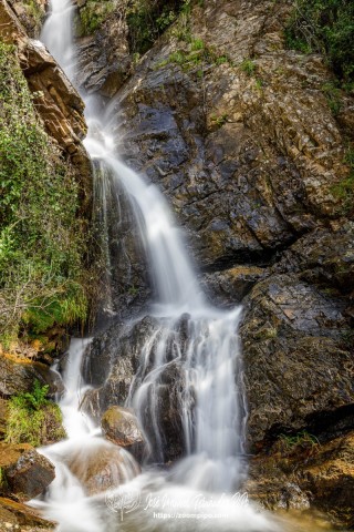 PiPo_764500-E-Erl