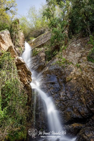 PiPo_764501-E-Erl