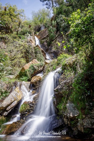 PiPo_764504-E-Erl