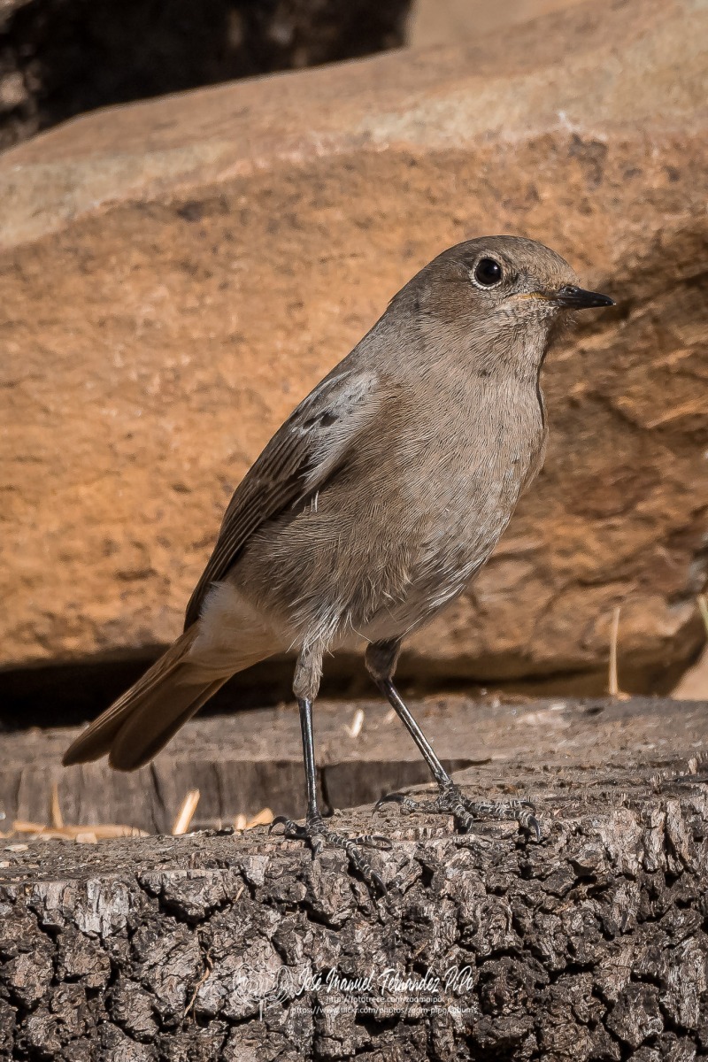 50546985916_9ff21aaea3_or