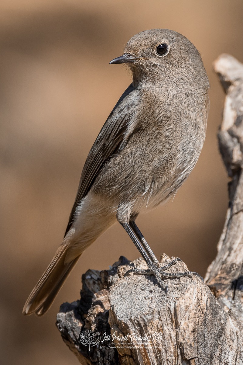 50575156973_589ec4e5d3_or