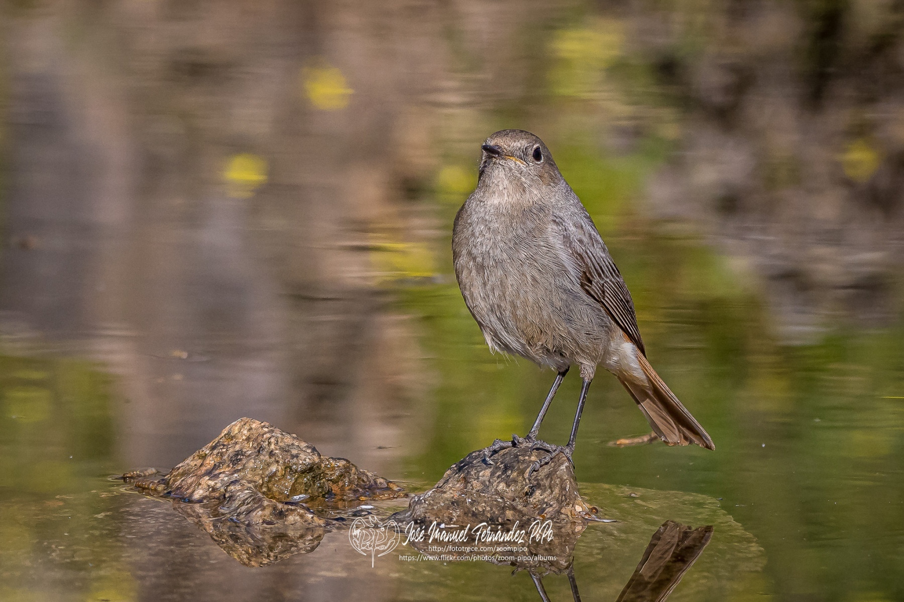 51001381230_8169cf46c2_or