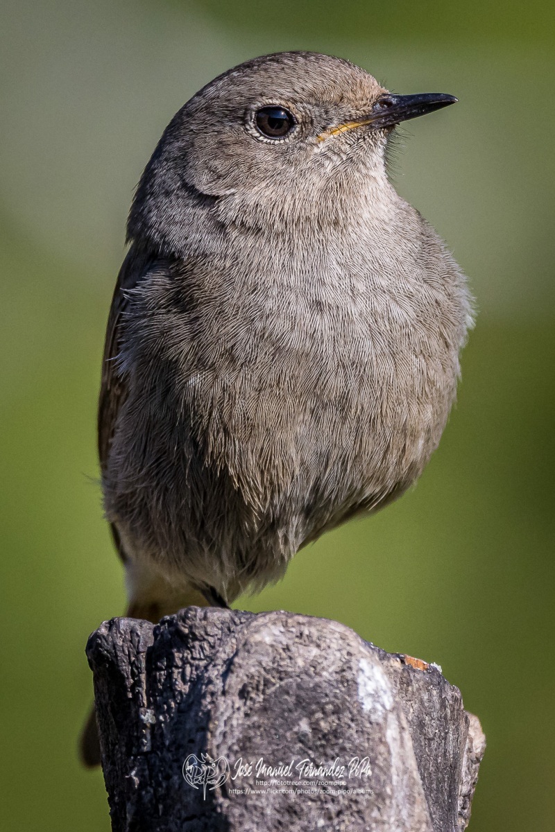 51001381275_c4b97de6f0_or