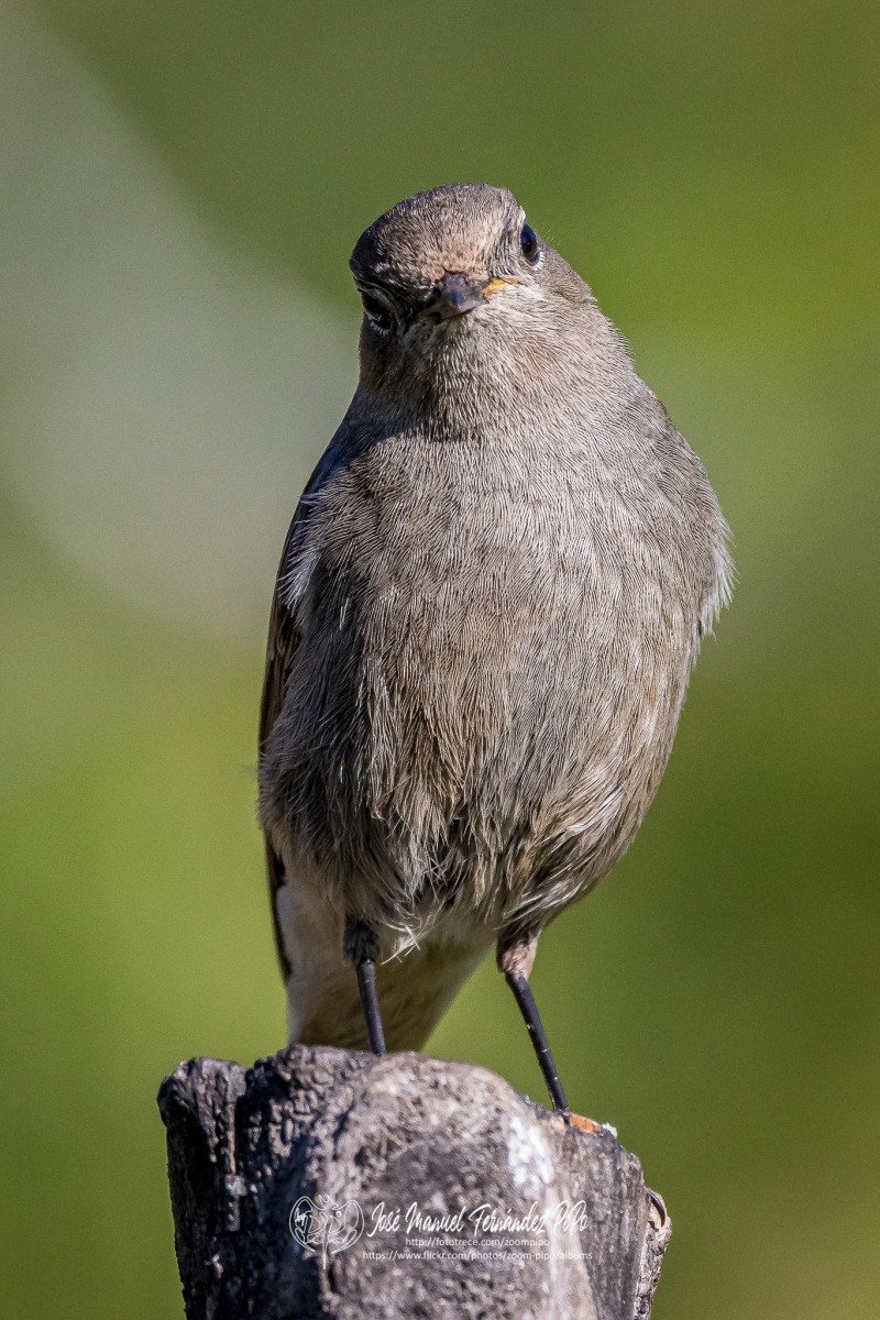 51069866398_6d4641df9b_or