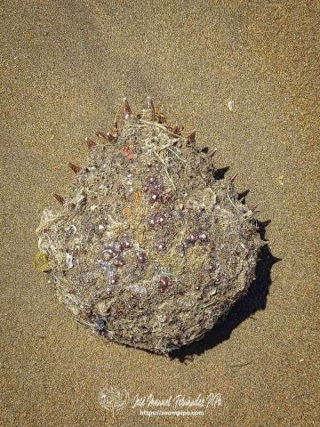 20250301_130255-E-Erl