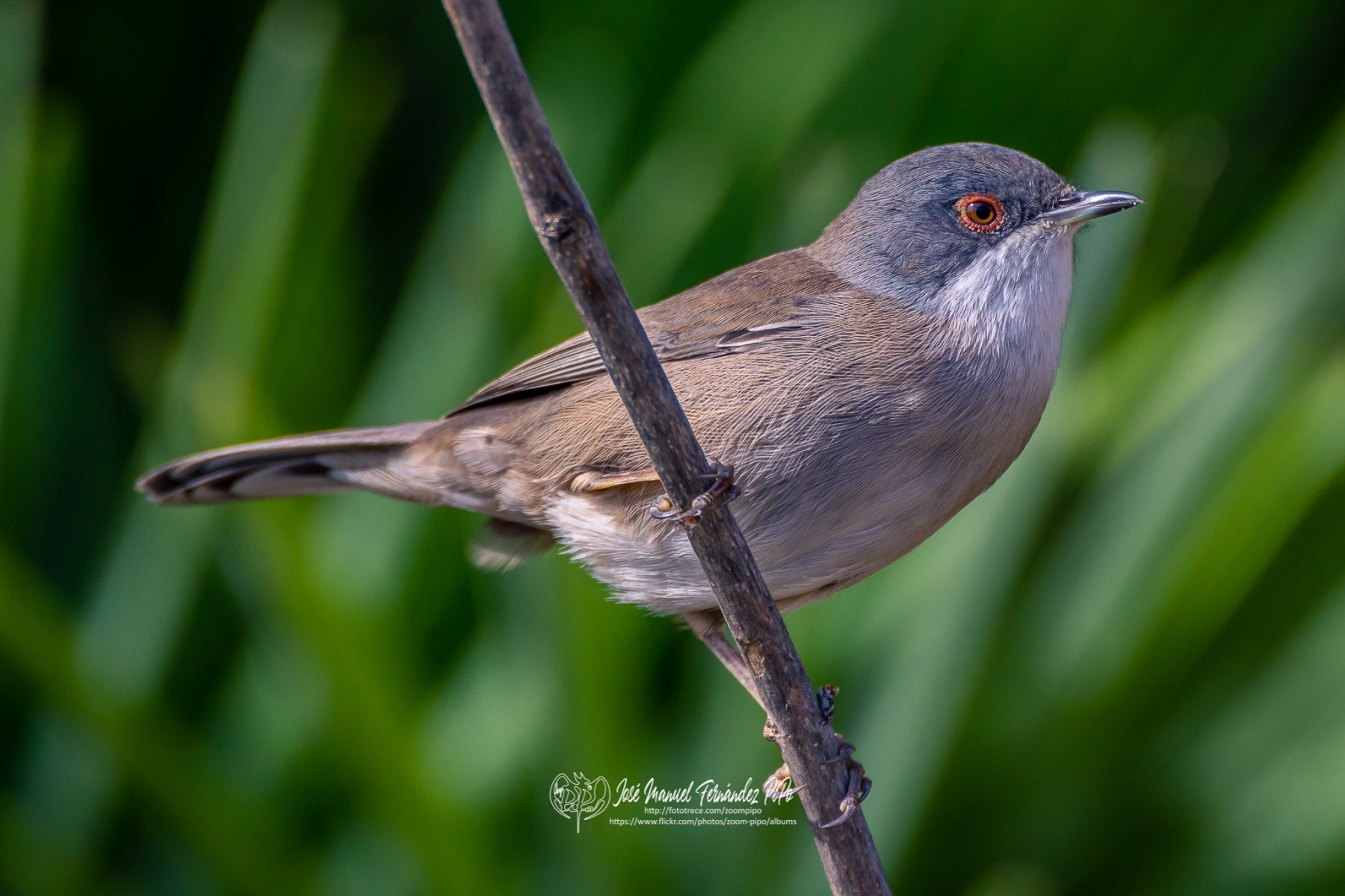 48996911718_167dc00e05_or