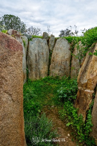 PiPo_648369-E-Erl