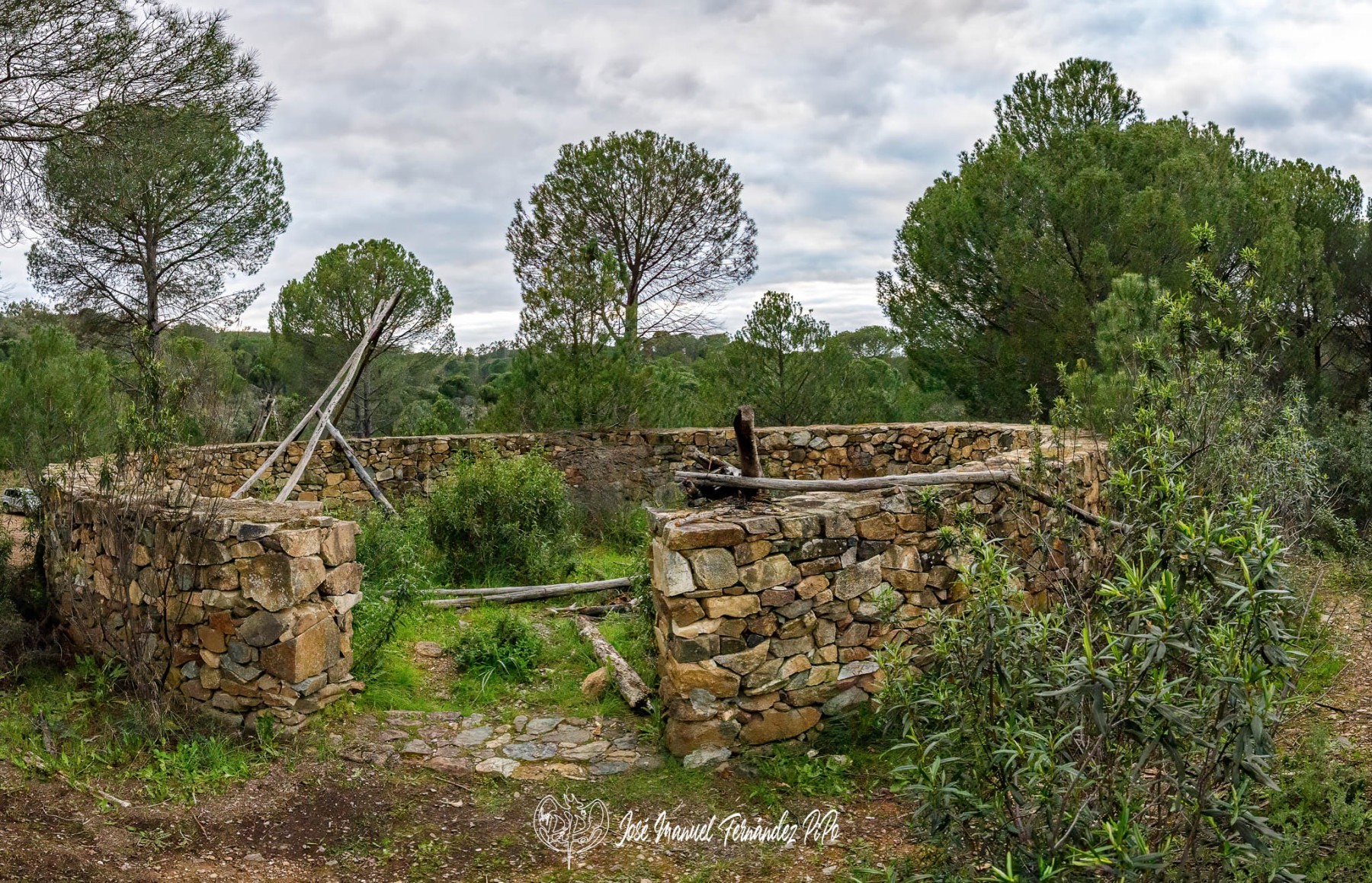 PiPo_648389-Pano-E-Erl