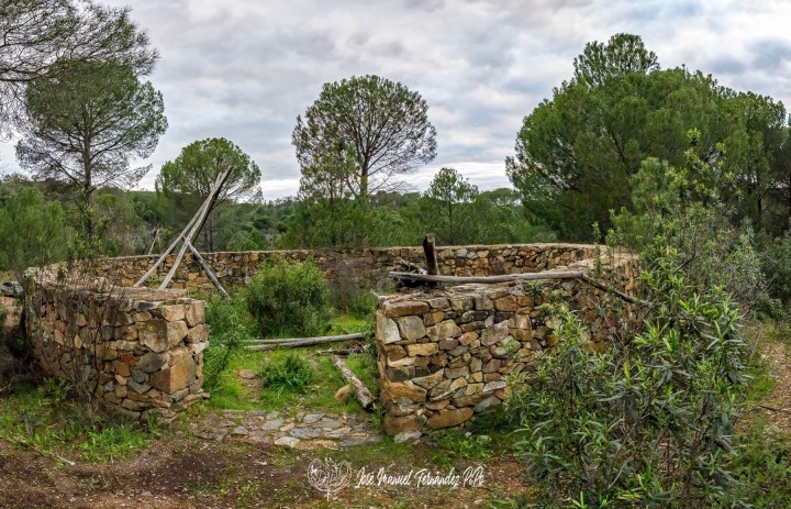 PiPo_648389-Pano-E-Erl