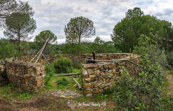 PiPo_648389-Pano-E-Erl