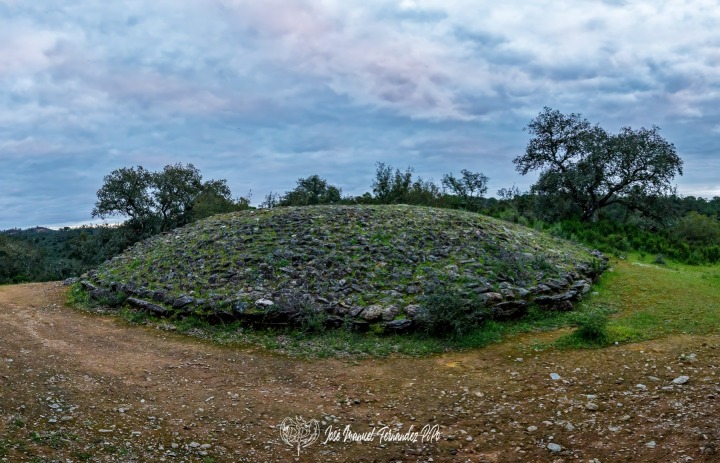 PiPo_648413-Pano-E-Erl