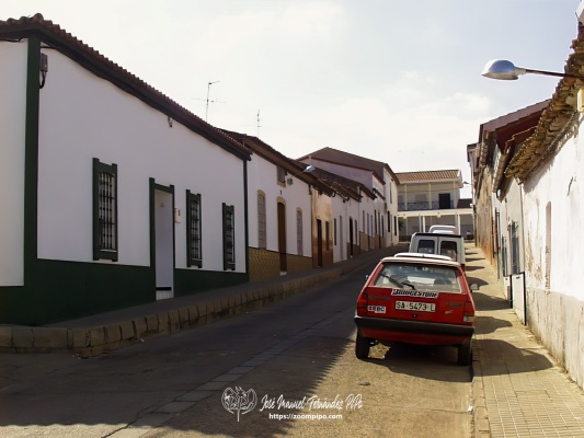 PIC00012-E